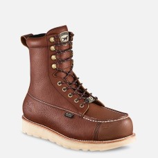 IrIsh Setter Wingshooter XD 8" Safety Toe Work Boot