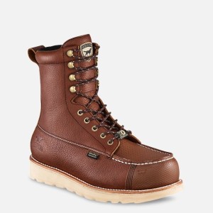 IrIsh Setter Wingshooter XD 8" Safety Toe Work Boot