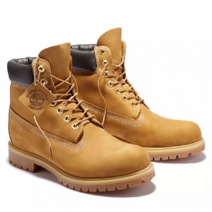 Timberland 6" Premium Waterproof Boots