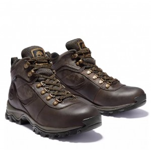 Timberland Mt. Maddsen Mid Waterproof Hiking Boots